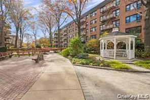 6 Birchwood Court #4B, Mineola, NY 11501 - #2