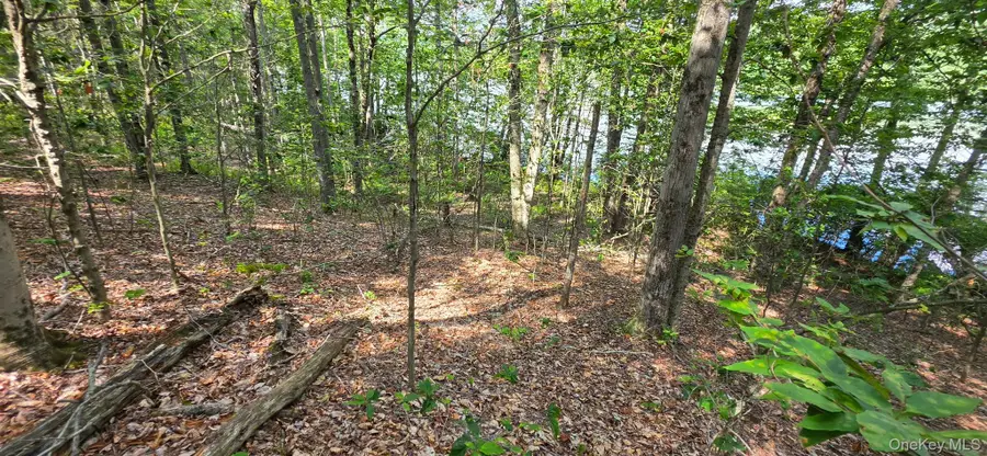 Shore Rd, Swan Lake, NY 12783 - #3