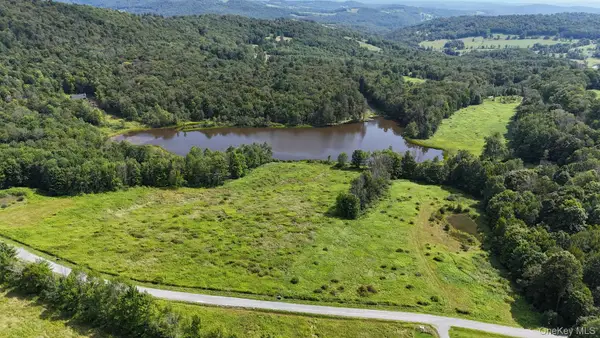 Waterfront Lot 15 Meadow Lane, Fremont Center, NY 12736