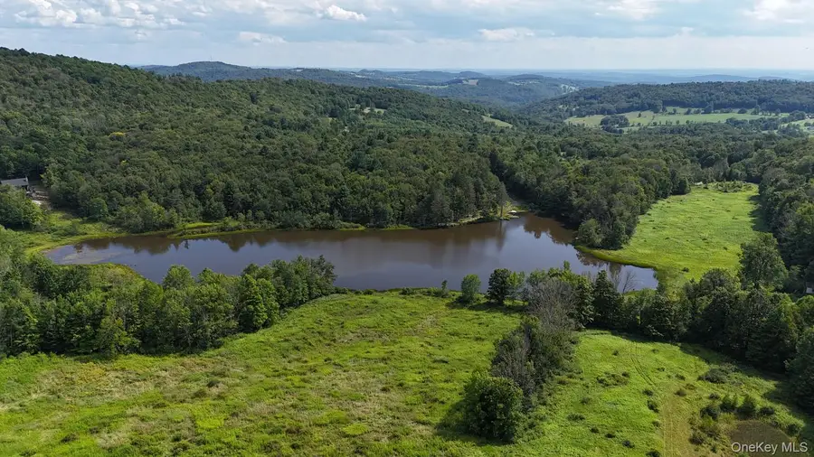 Waterfront Lot 15 Meadow Lane, Fremont Center, NY 12736 - #2