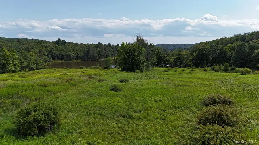 Waterfront Lot 15 Meadow Lane, Fremont Center, NY 12736 - #3