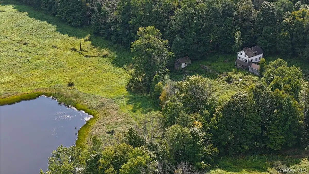Waterfront Lot 14 Meadow Lane, Fremont Center, NY 12736 - #1
