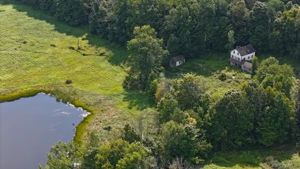 Waterfront Lot 14 Meadow Lane, Fremont Center, NY 12736
