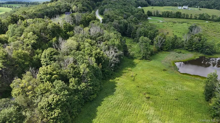 Waterfront Lot 14 Meadow Lane, Fremont Center, NY 12736 - #3