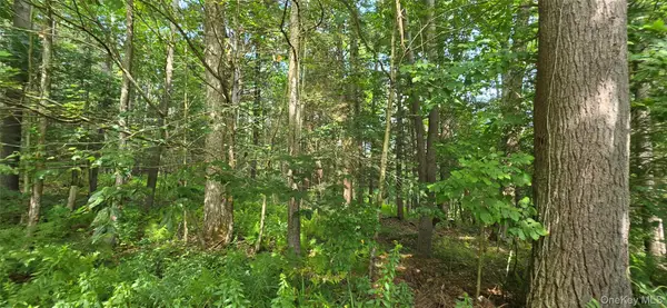 Lot 6 Nys 52, Narrowsburg, NY 12764