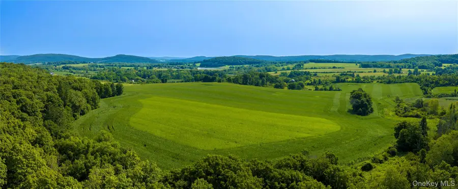 5246 Route 22, Amenia, NY 12501 - #3