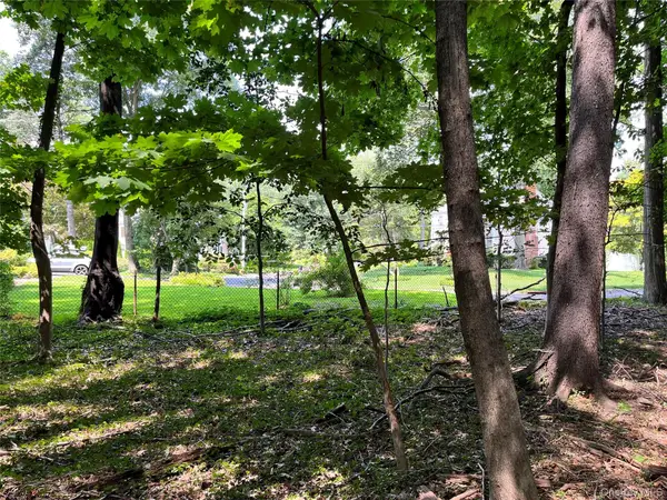 Forest Avenue, New Rochelle, NY 10801