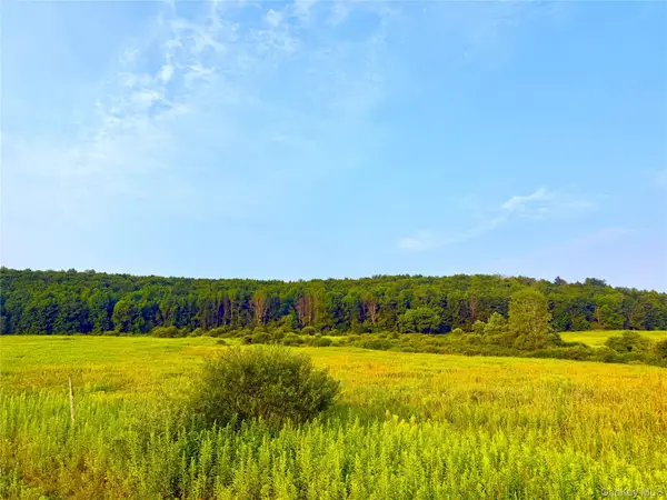 299 Walt Phillips, Call Listing Agent, NY 13460