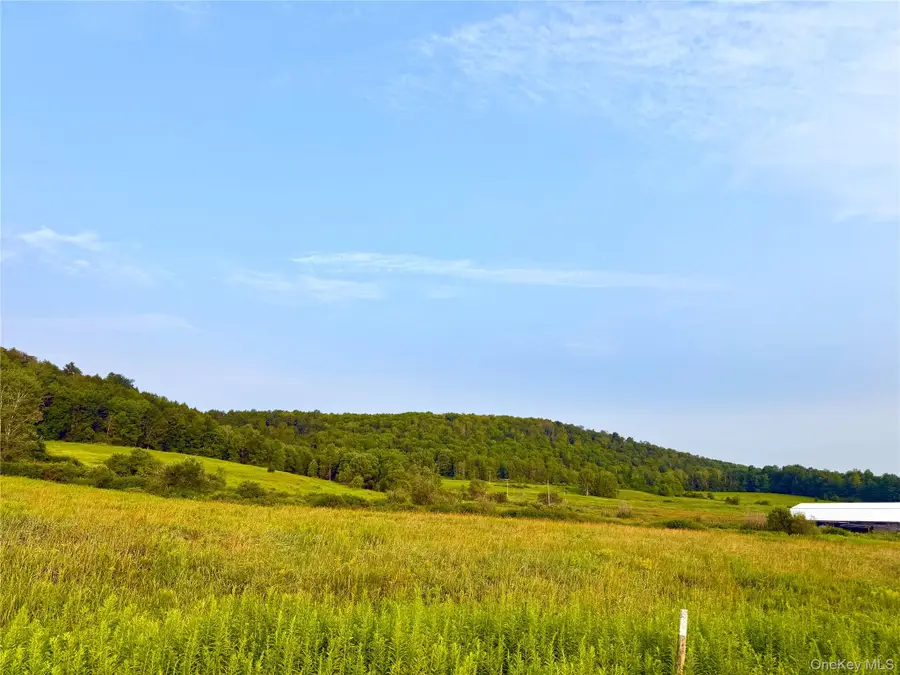 299 Walt Phillips, Columbus, NY 13460 - #3