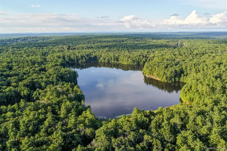 76 Timber Lake Drive, Yulan, NY 12792 - #3