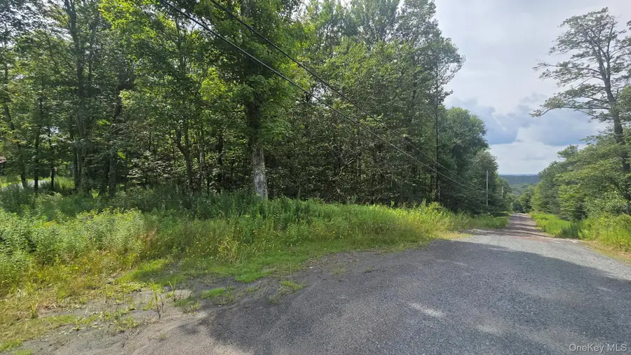 Knickerbocker Road, Livingston Manor, NY 12758 - #3