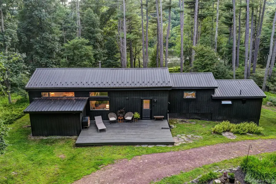151 Hankins Road, Narrowsburg, NY 12764 - #3