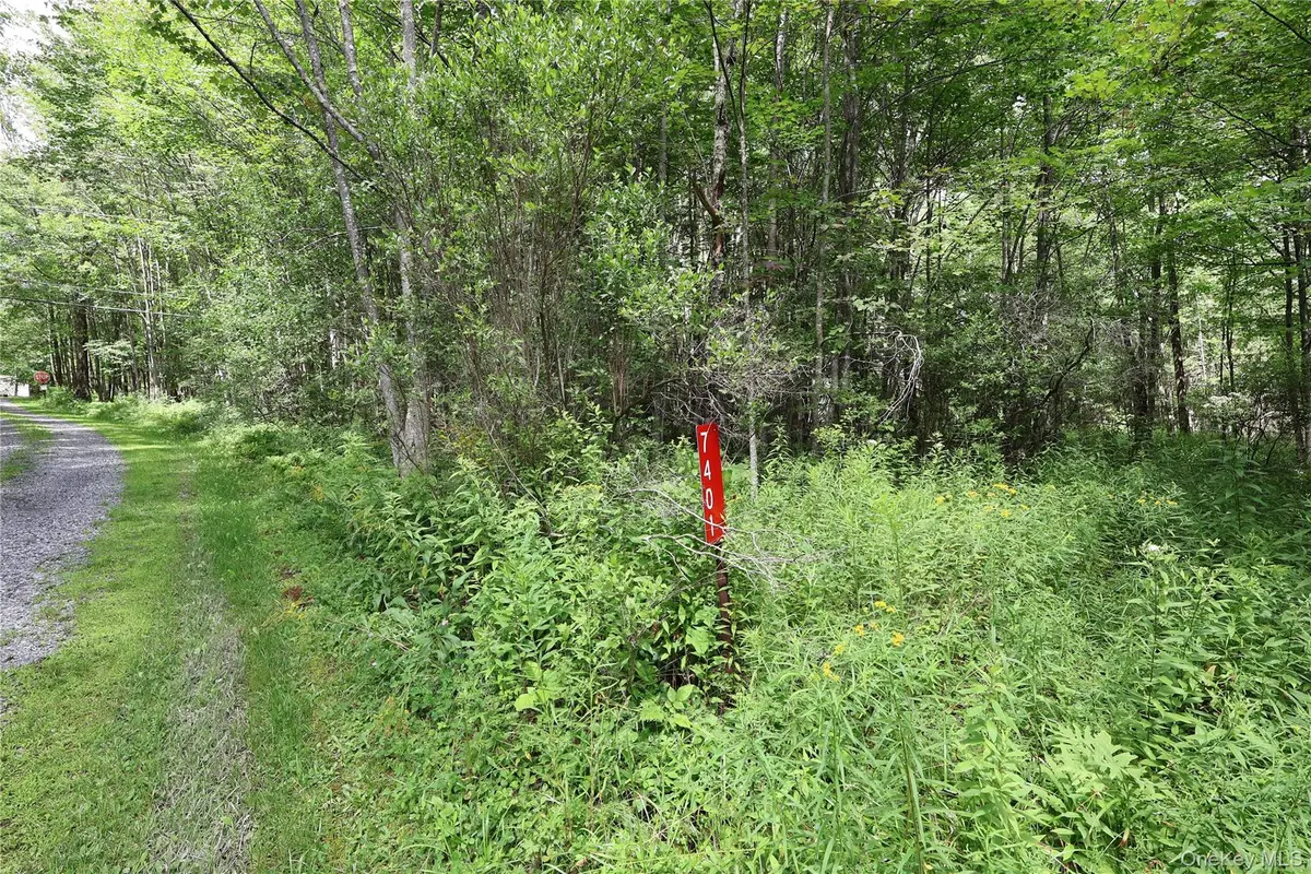 7401 Millbrook Road, Arkville, NY 12406 - #1