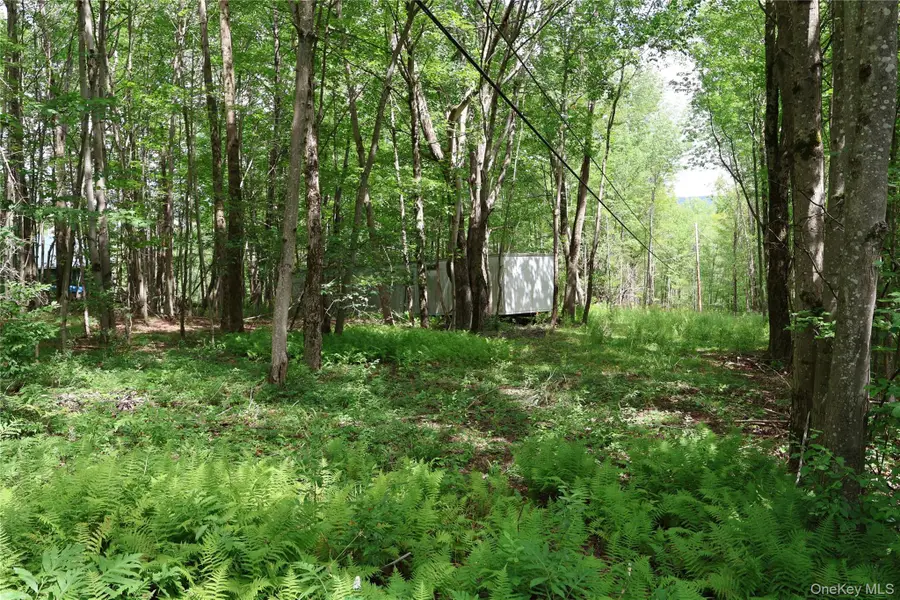 7401 Millbrook Road, Arkville, NY 12406 - #2