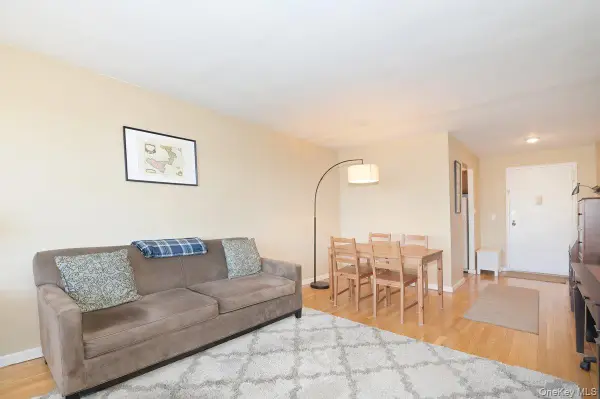 2 Birchwood Court #5H, Mineola, NY 11501