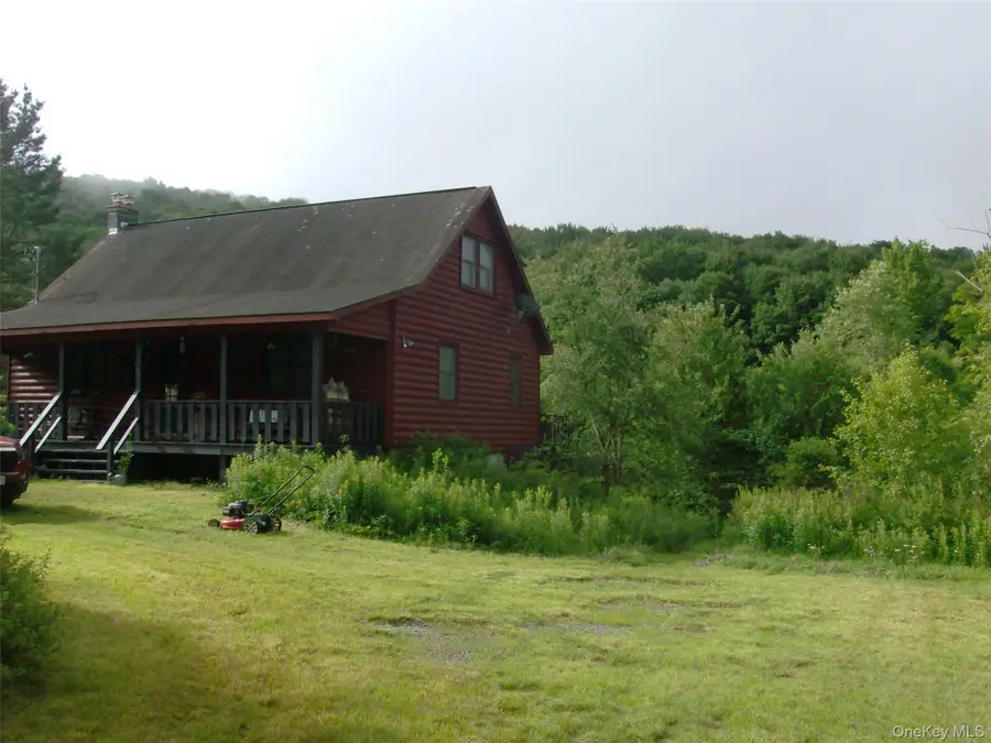 5176 Campbell Brook Road, Downsville, NY 13755 - #3