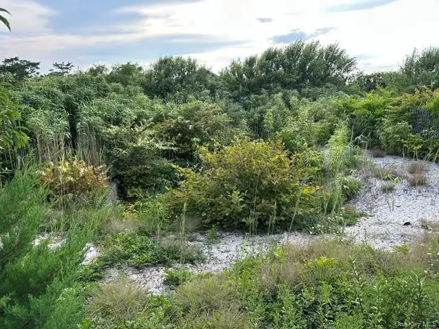 185 Holly Walk, Fire Island, NY 11782 - #3