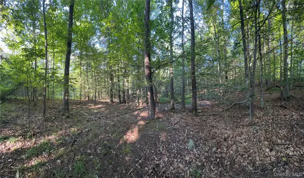 Hidden Court, Mount Tremper, NY 12457