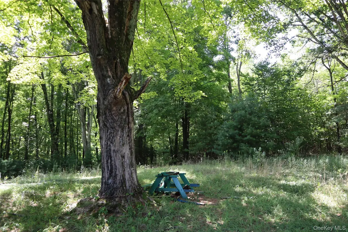 Peeble Lane, Wurtsboro, NY 12790 - #1
