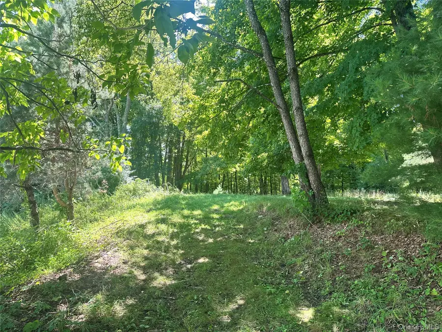 Peeble Lane, Wurtsboro, NY 12790 - #2