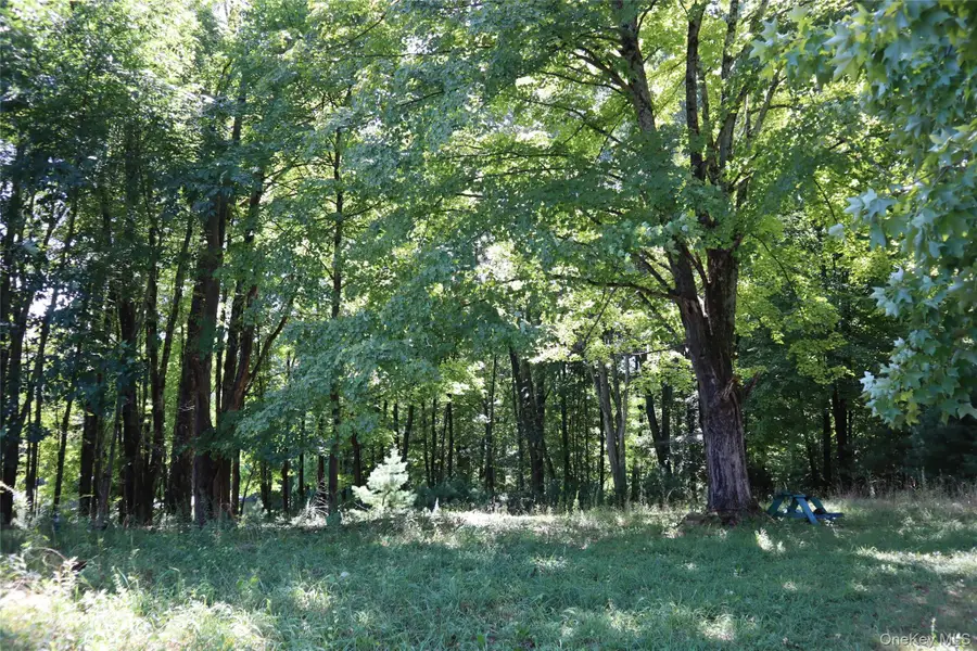 Peeble Lane, Wurtsboro, NY 12790 - #3