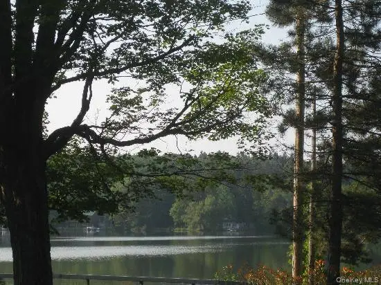 157 Lake Avenue, Mariaville Lake, NY 12053 - #1