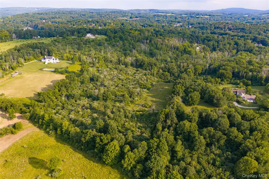 Sharon Turnpike, Millbrook, NY 12545 - #2