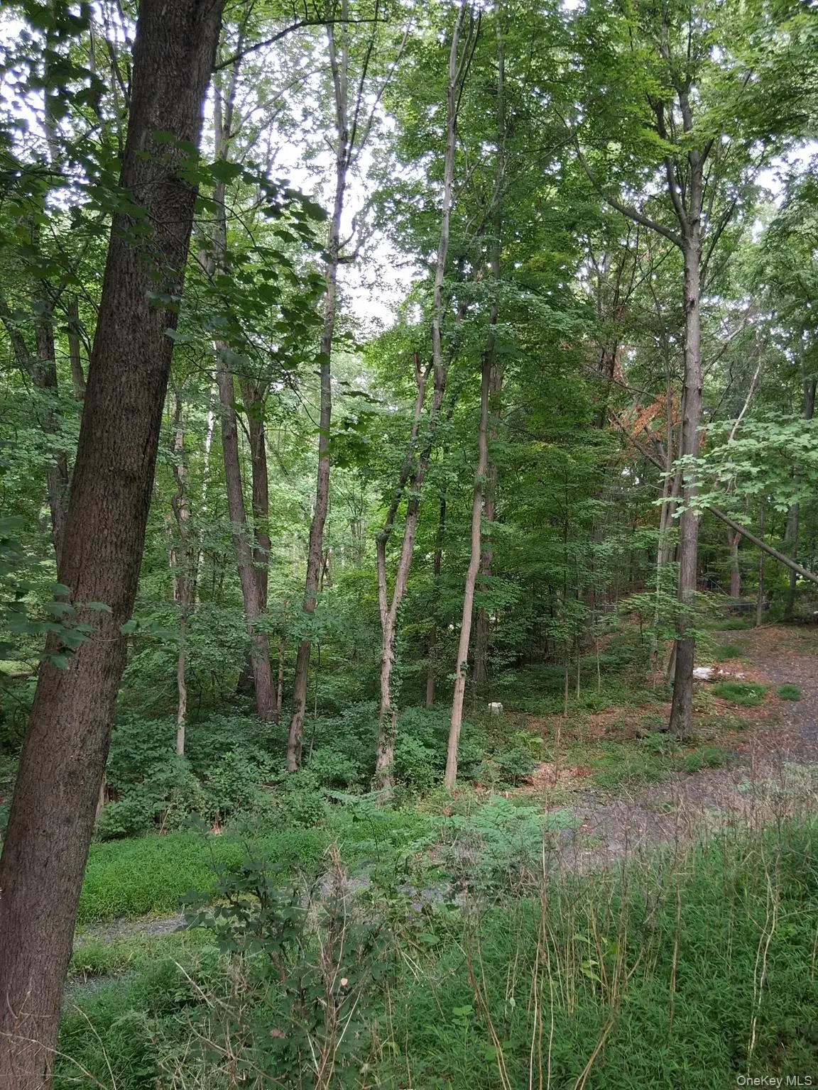 Museum Village Road, Blooming Grove, NY 10914 - #1