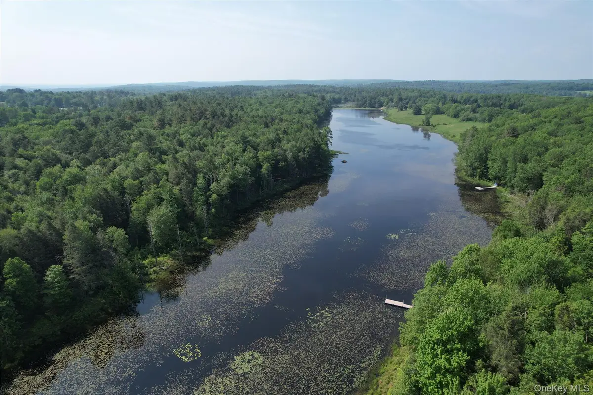 Lot 23 Deer Meadow Road, Bethel, NY 12720 - #1