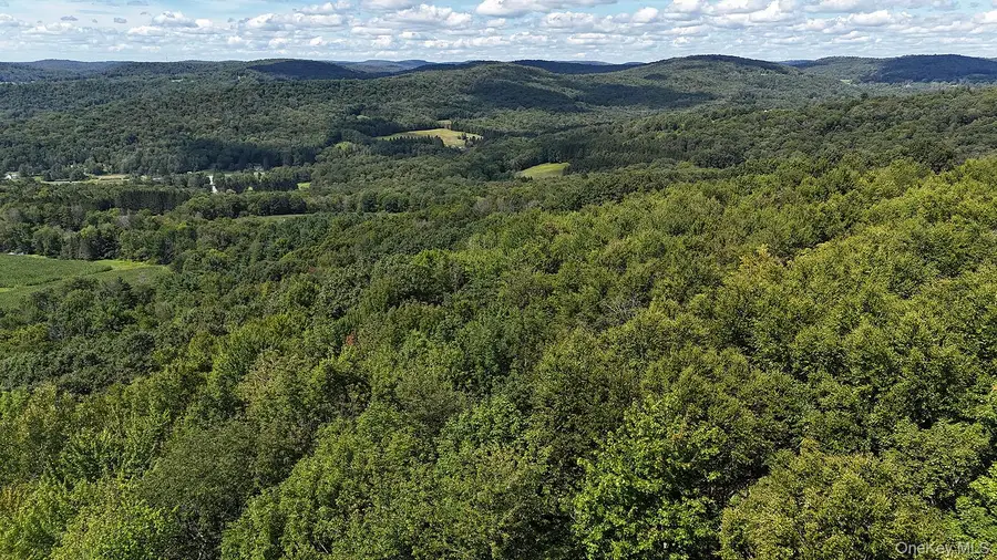 Hammer Road, Fremont Center, NY 12736 - #3