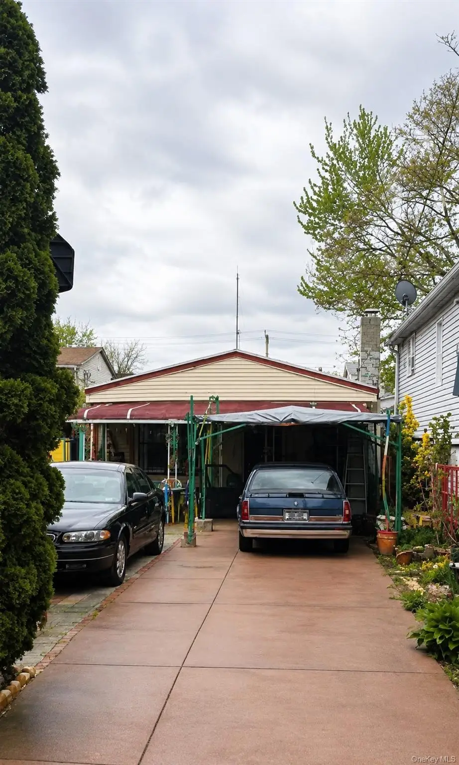 227 Stephens Avenue, Bronx, NY 10473 - #1