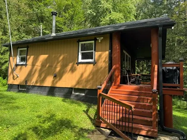 315 Tweedie Road, East Branch, NY 13783