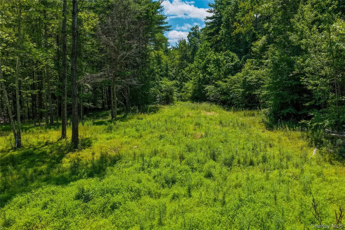 153 Roosevelt Avenue, Cairo, NY 12413 - #1