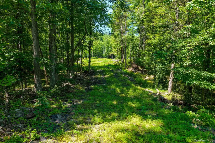 153 Roosevelt Avenue, Cairo, NY 12413 - #3