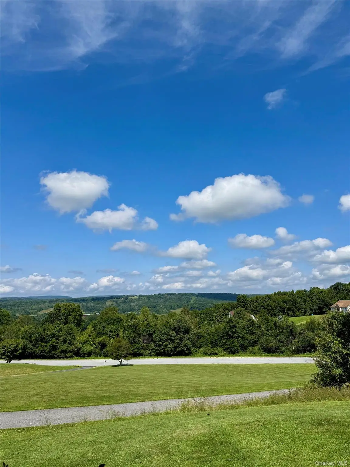 96 Bender Road, Westtown, NY 10998 - #1