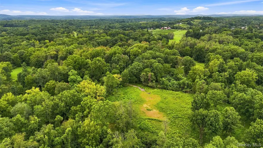 45 Lasher Road, Tivoli, NY 12583 - #3
