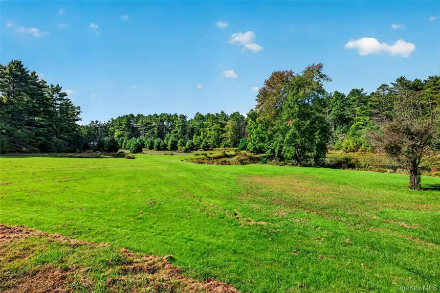 4920 State Route 97, Narrowsburg, NY 12764 - #2