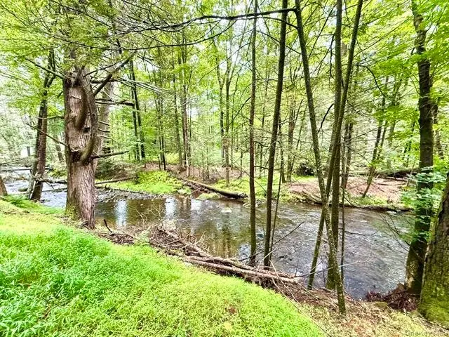 Lot 9 Black Forest Road, Glen Spey, NY 12737 - #1