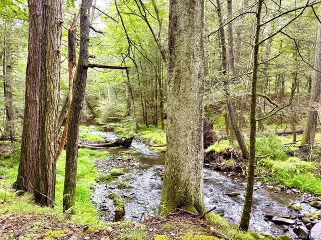 Lot 9 Black Forest Road, Glen Spey, NY 12737 - #2