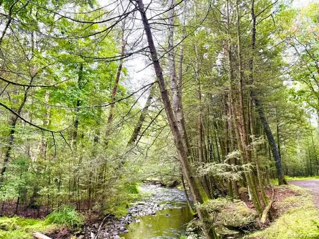 Lot 9 Black Forest Road, Glen Spey, NY 12737 - #3