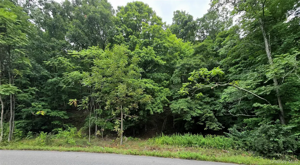 Edgemere Avenue, Greenwood Lake, NY 10925 - #1