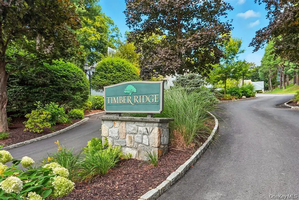 11 Timber Ridge #11, Mount Kisco, NY 10549 - #1