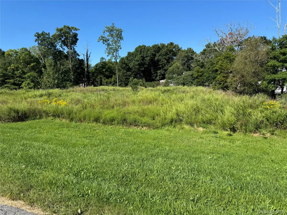 St Rte 208 Ws, Montgomery, NY 12549 - #1