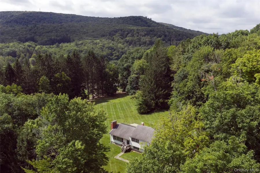39 Denman Mountain Road, Grahamsville, NY 12740 - #2
