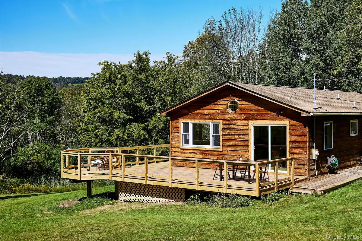 50 Hahn Road, Livingston Manor, NY 12758 - #1