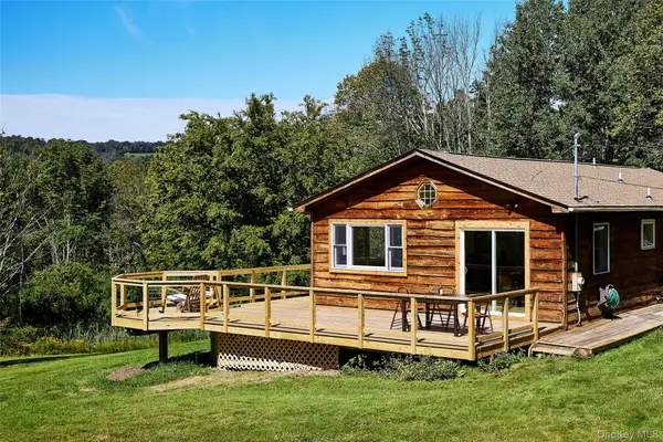 50 Hahn Road, Livingston Manor, NY 12758