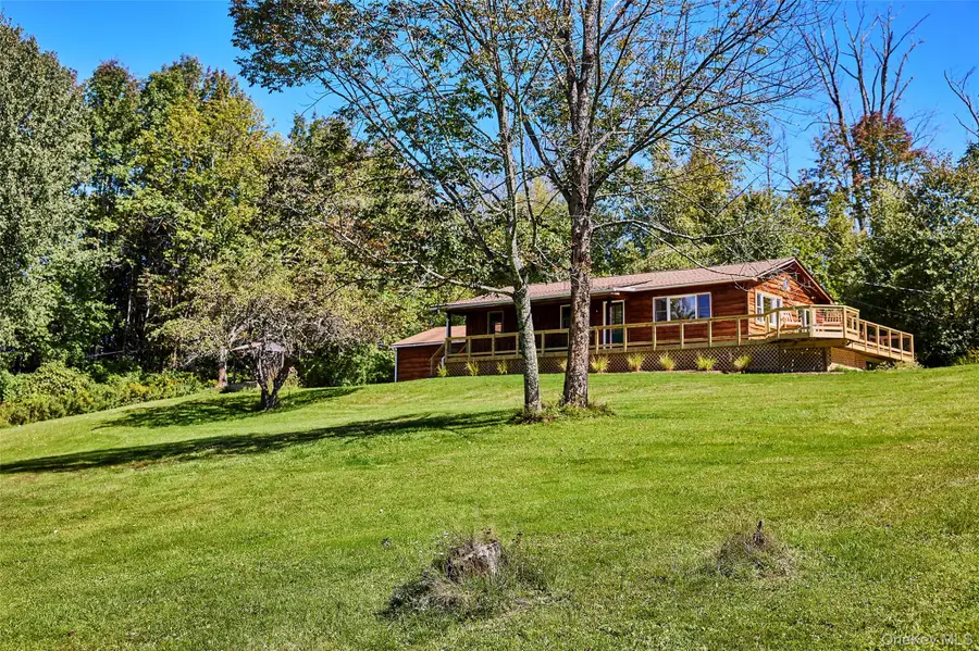 50 Hahn Road, Livingston Manor, NY 12758 - #3