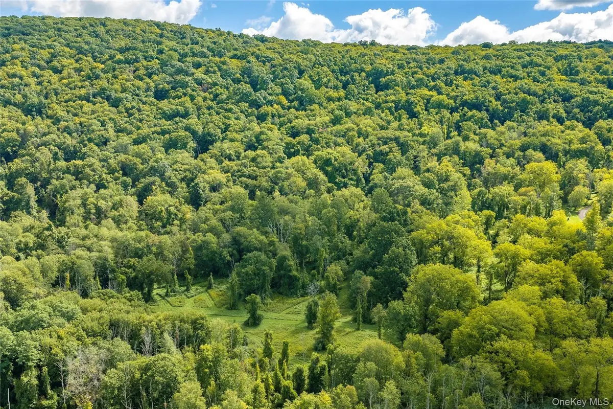 Route 22, Pawling, NY 12564 - #1