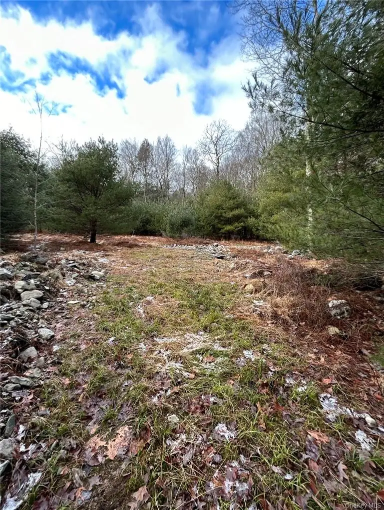 143 Brandt Road, Cuddebackville, NY 12729 - #3