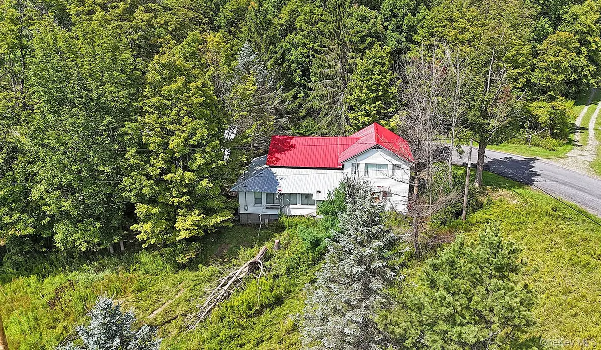 3994 Klondike Road, Long Eddy, NY 12760 - #1